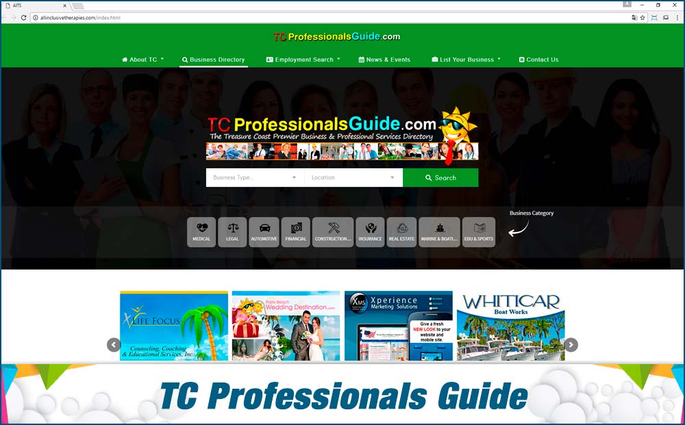 web-TC-Professionals-Guide