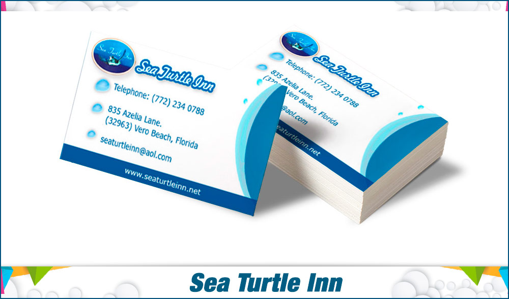 stationary sea turtle inn